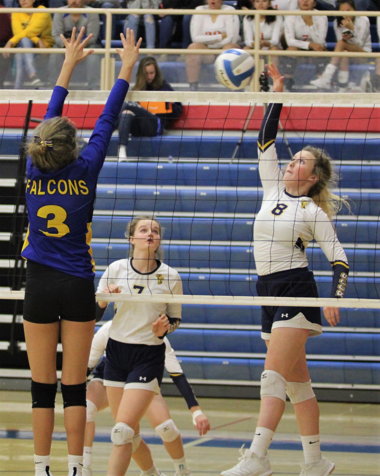 Douglas Tournament 6.jpg